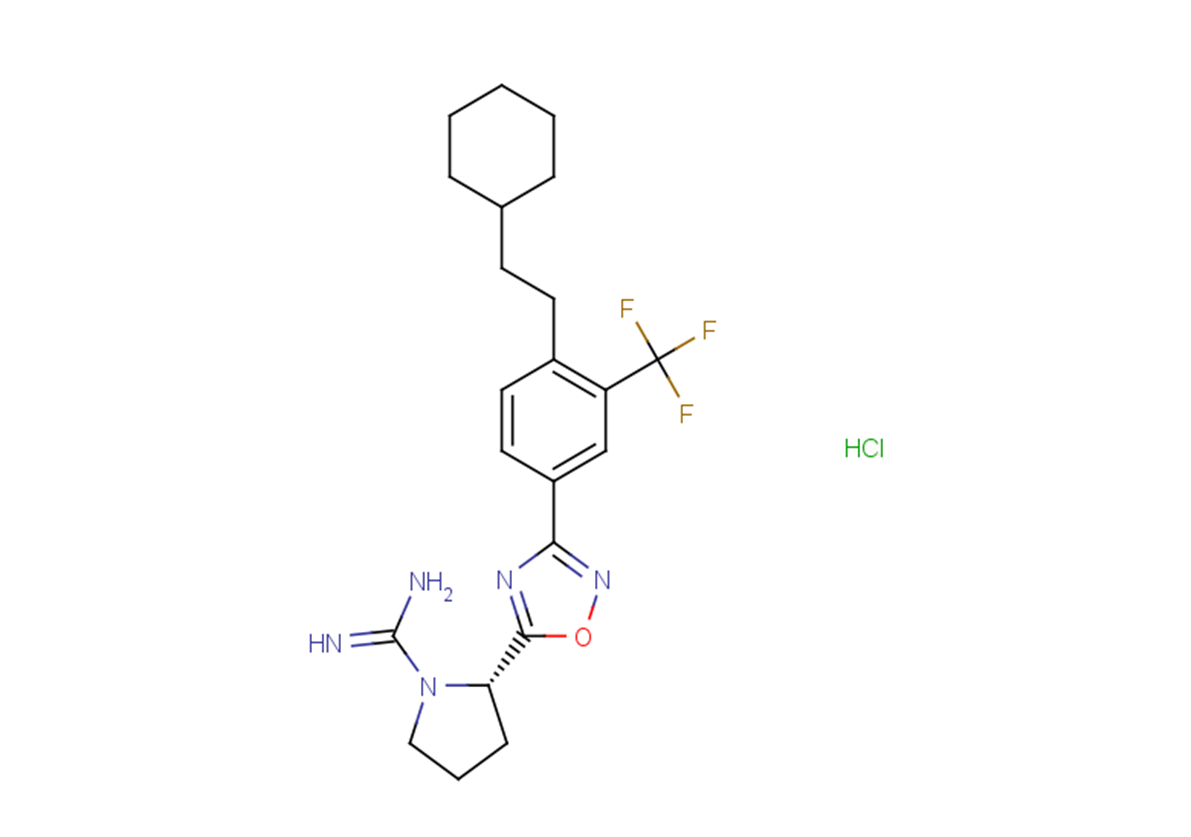 SLP9101555