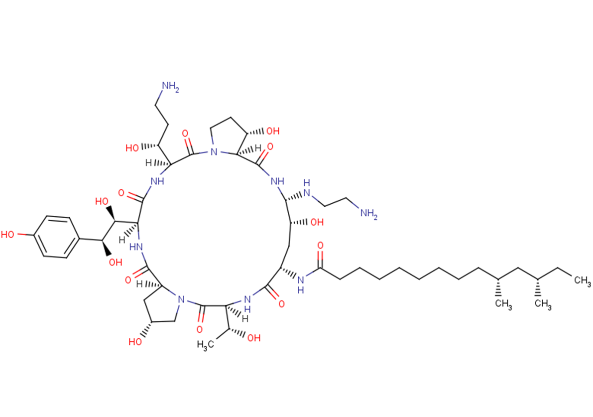 Caspofungin TargetMol