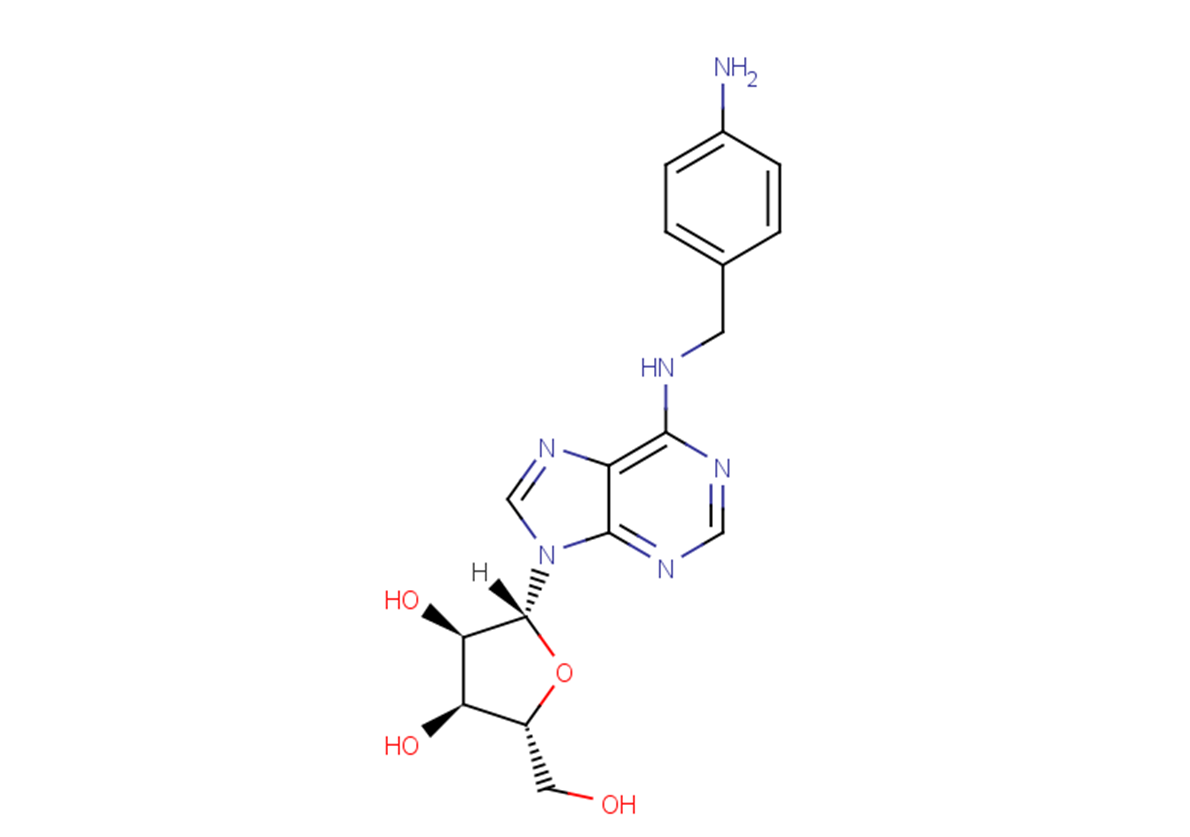 N-[(4-Aminophenyl)methyl]adenosine