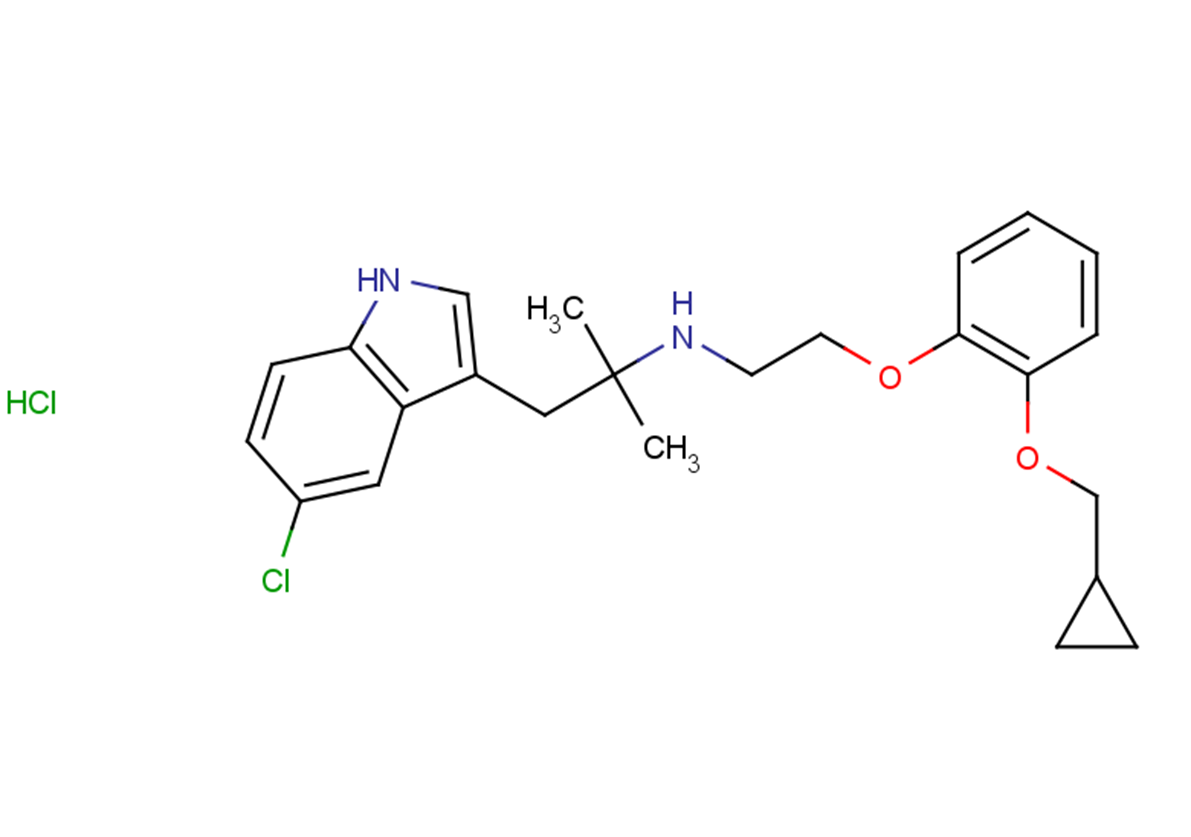 RS 17053 hydrochloride