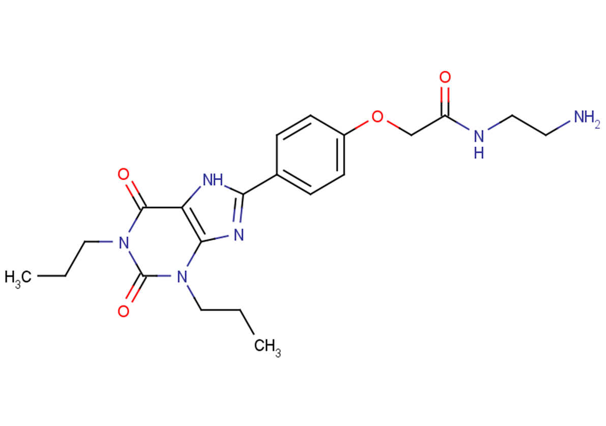 Xanthine amine congener