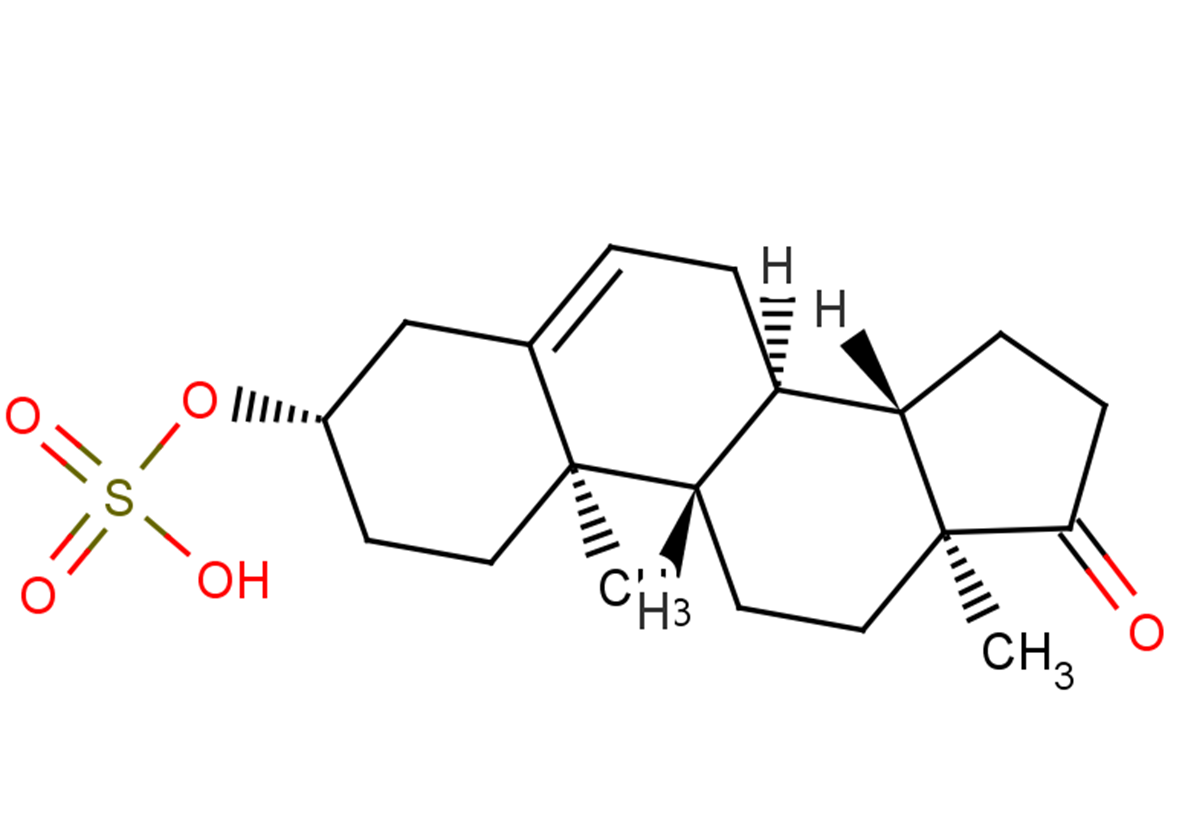 Dehydroepiandrosterone sulfate Inhibitor TargetMol