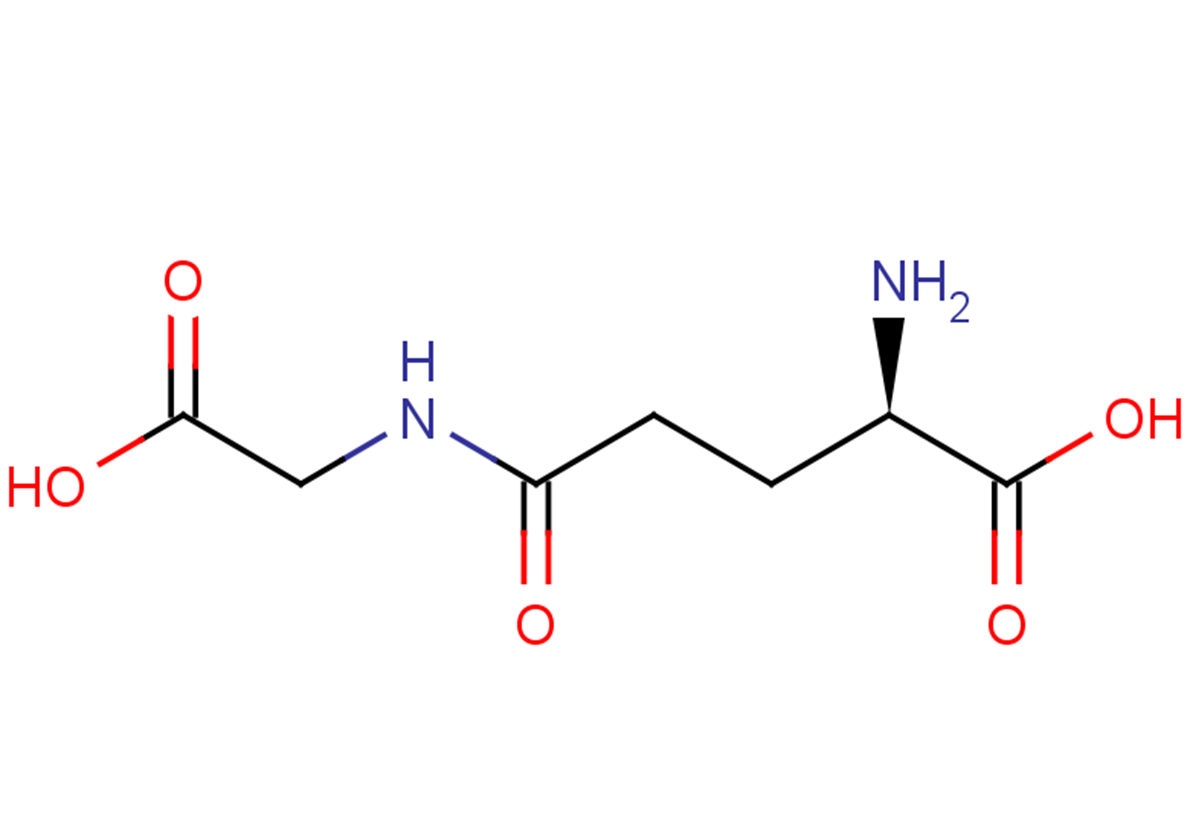 gamma-DGG