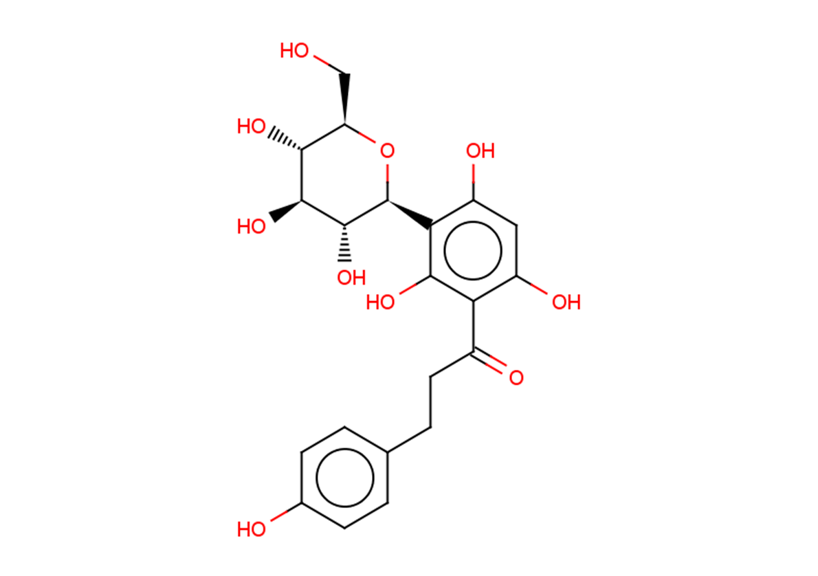 Nothofagin