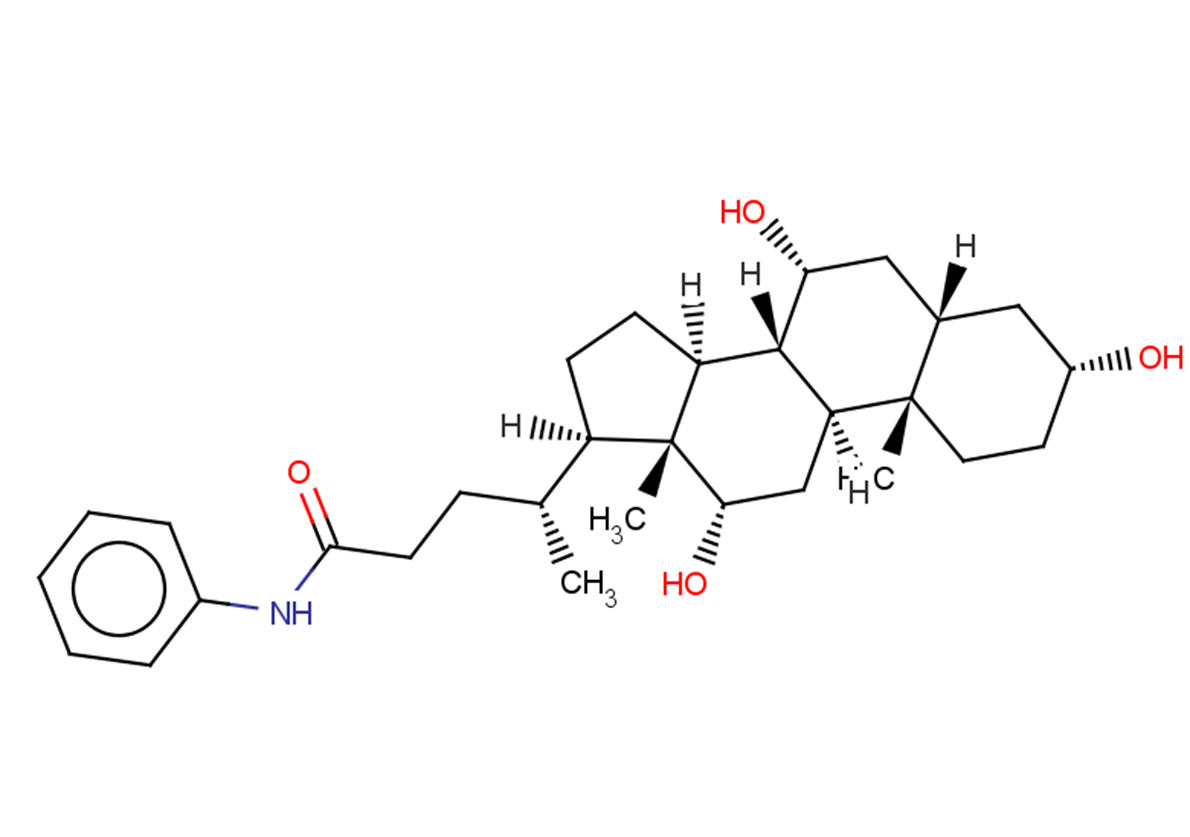 Cholic Acid anilide Chemical Structure