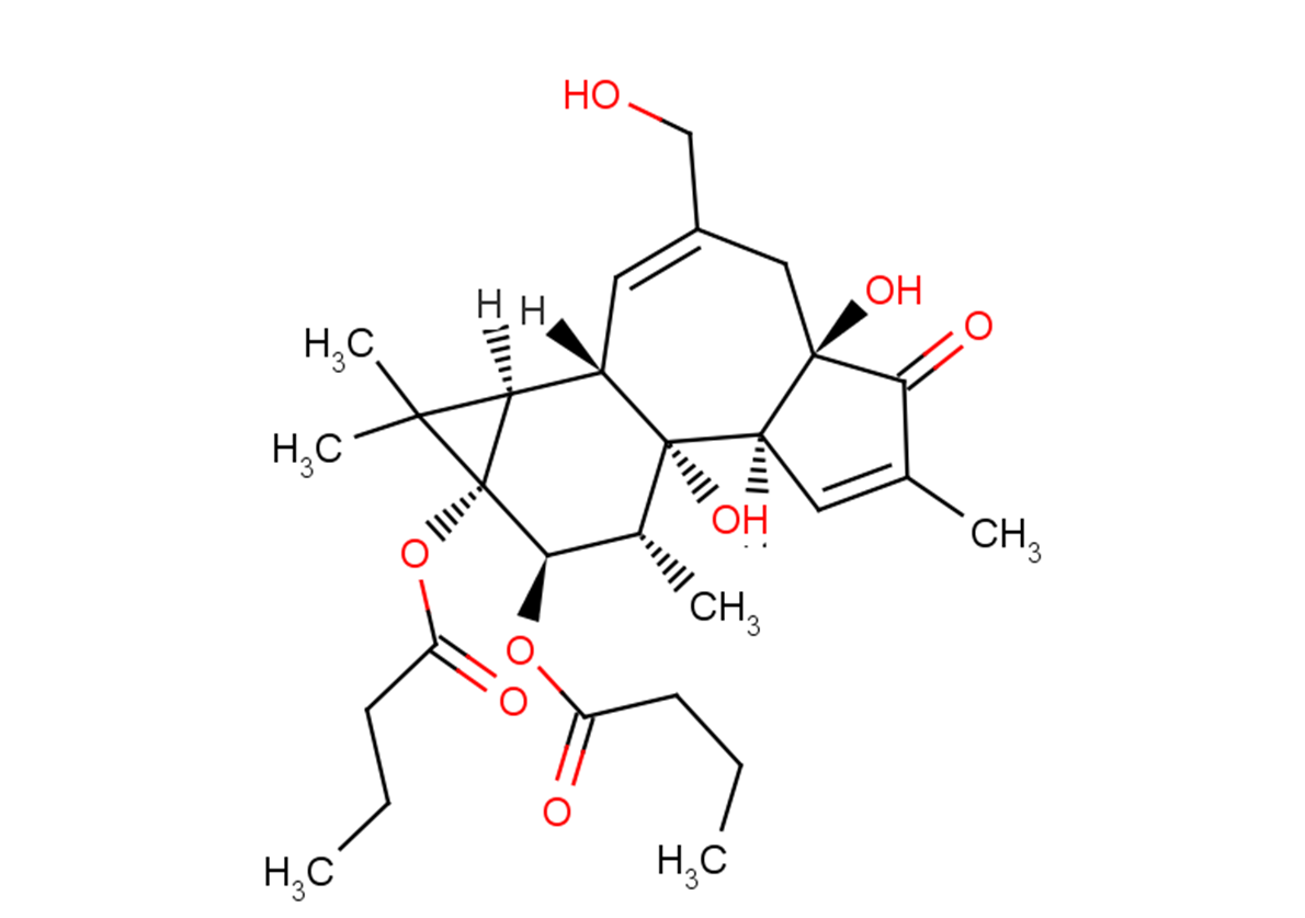 Phorbol 12,13-dibutyrate