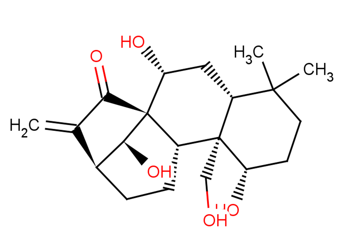 Kamebakaurin