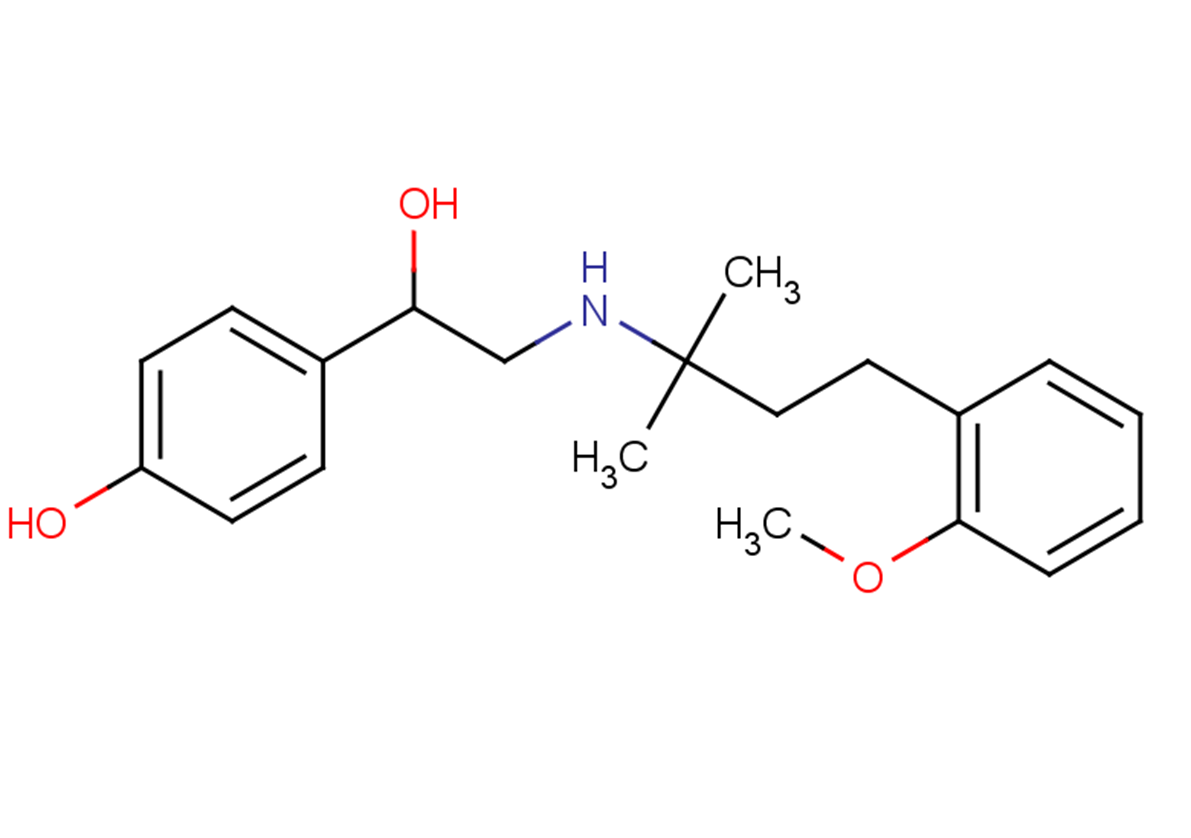 D2343