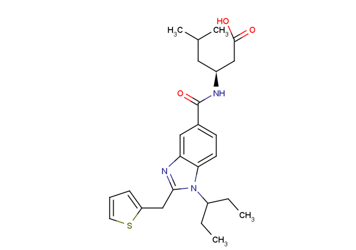 CMF019