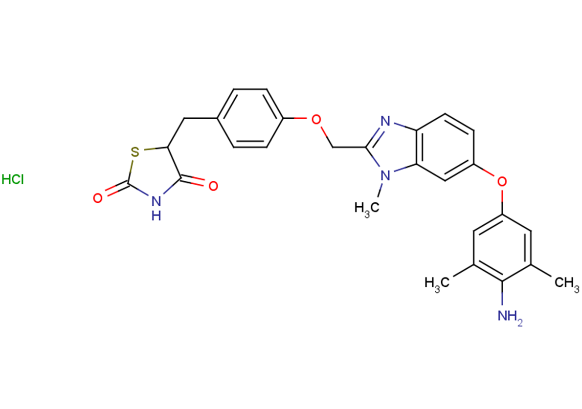 Inolitazone dihydrochloride Chemical Structure