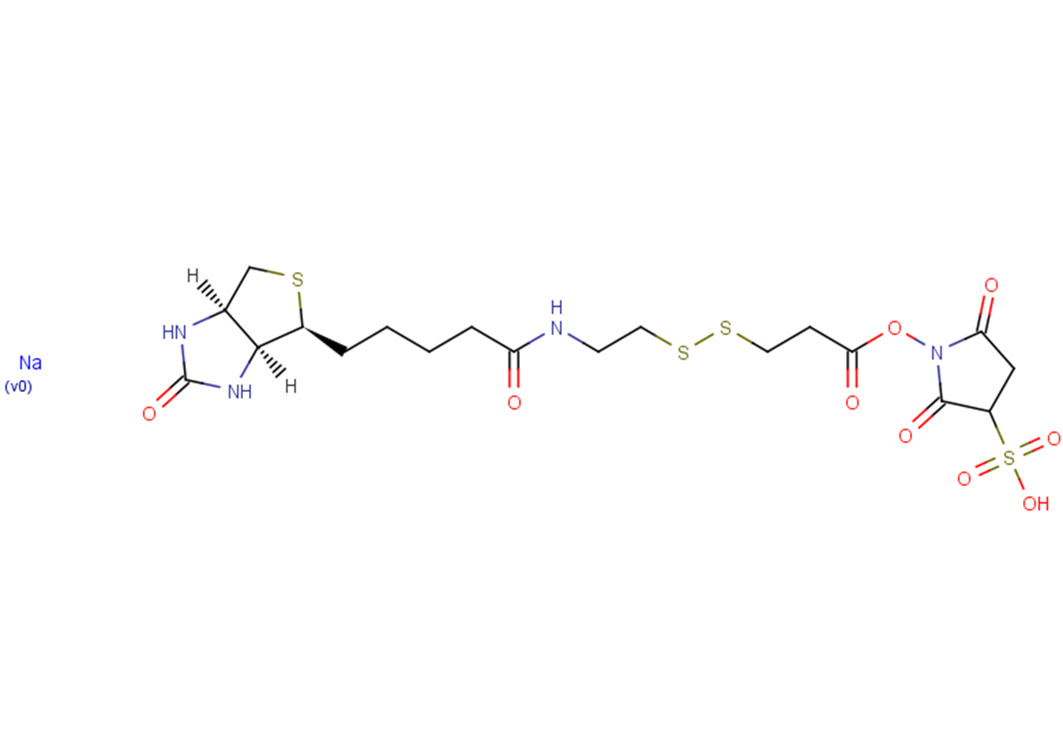 Sulfo-NHS-SS-Biotin sodium Chemical Structure