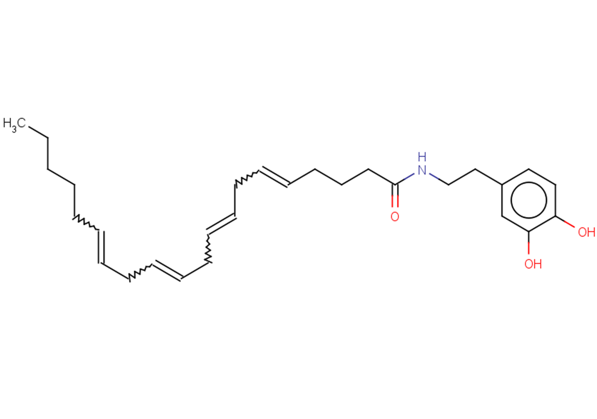 N-Arachidonyldopamine