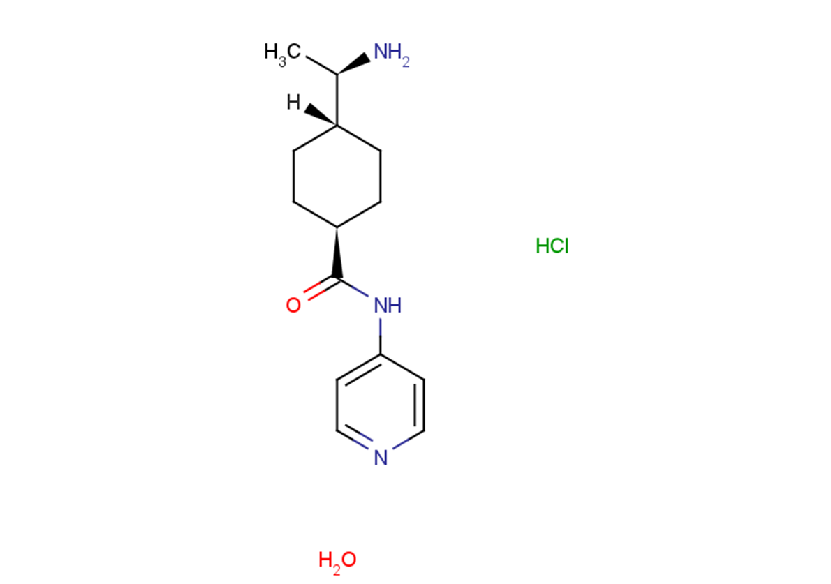 Y27632 HCl hydrate Chemical Structure
