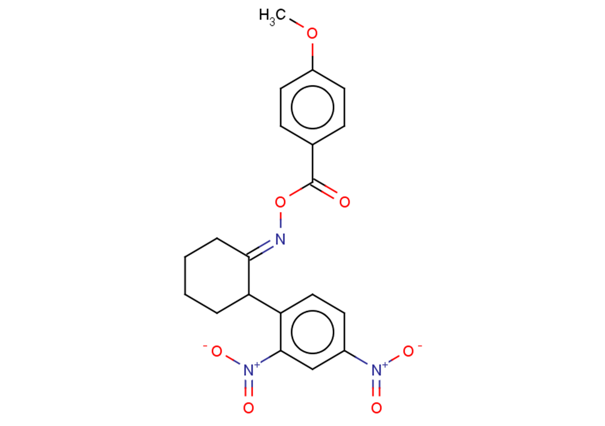 Compound 1T-0219 (SC) Chemical Structure
