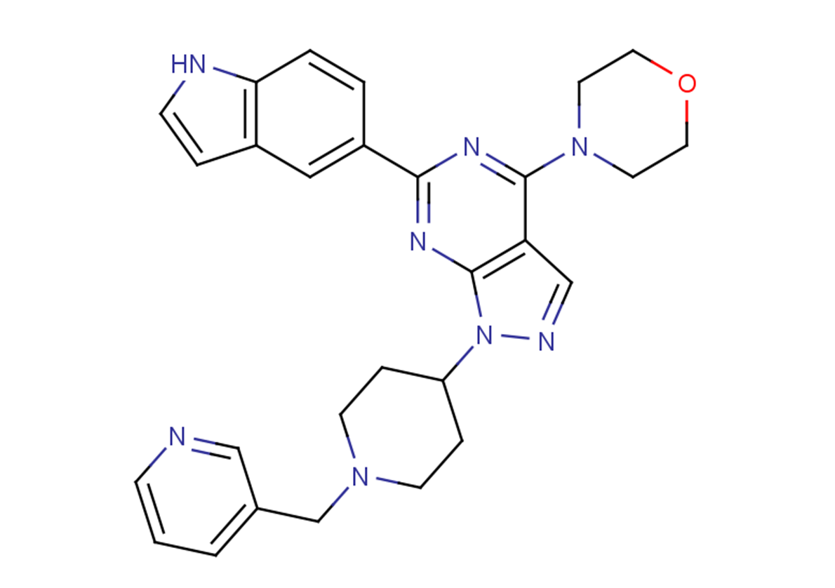 WAY-600