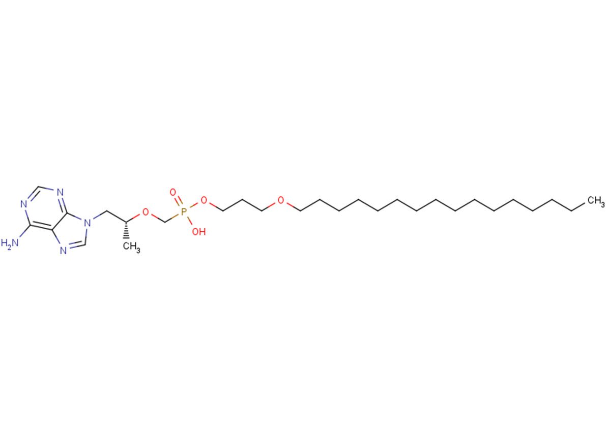 Tenofovir exalidex antiviral targetmol