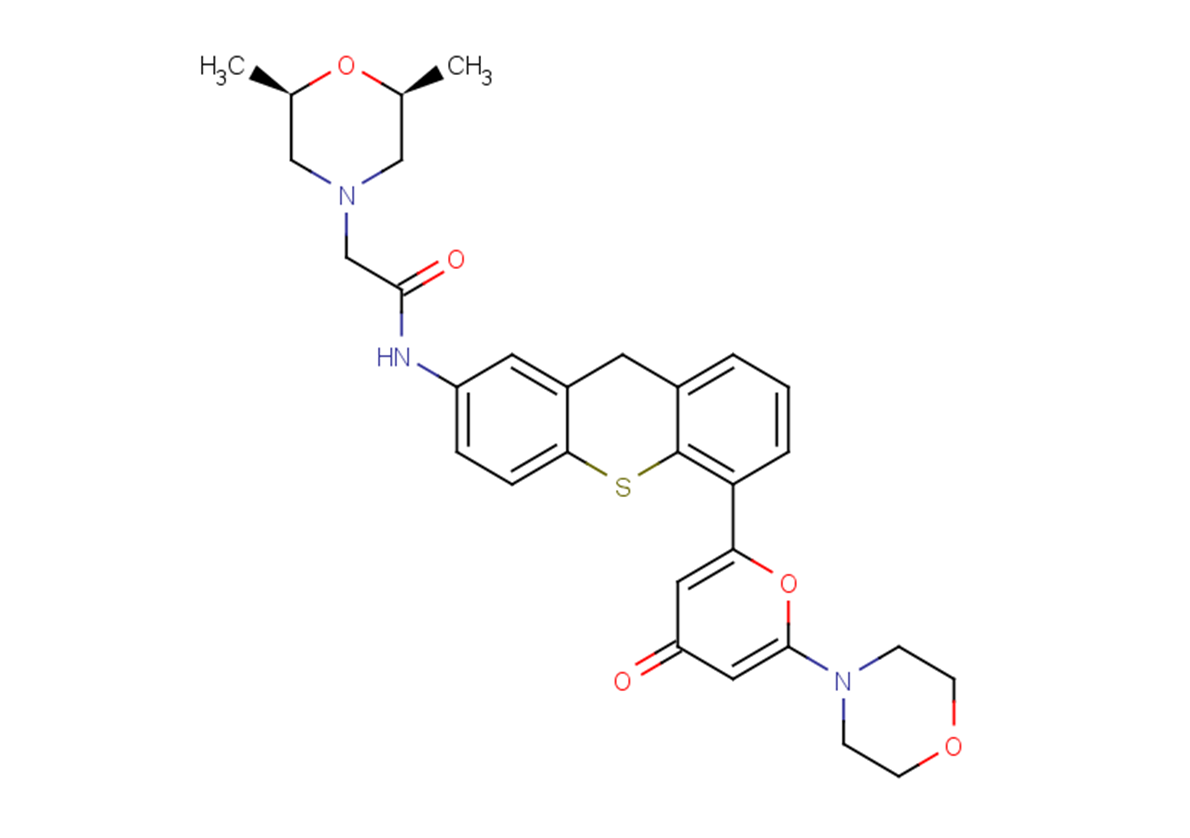 KU-60019 Chemical Structure