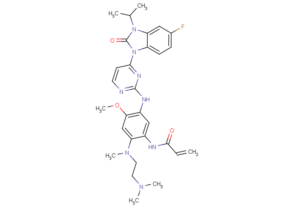 Egfr targetmol