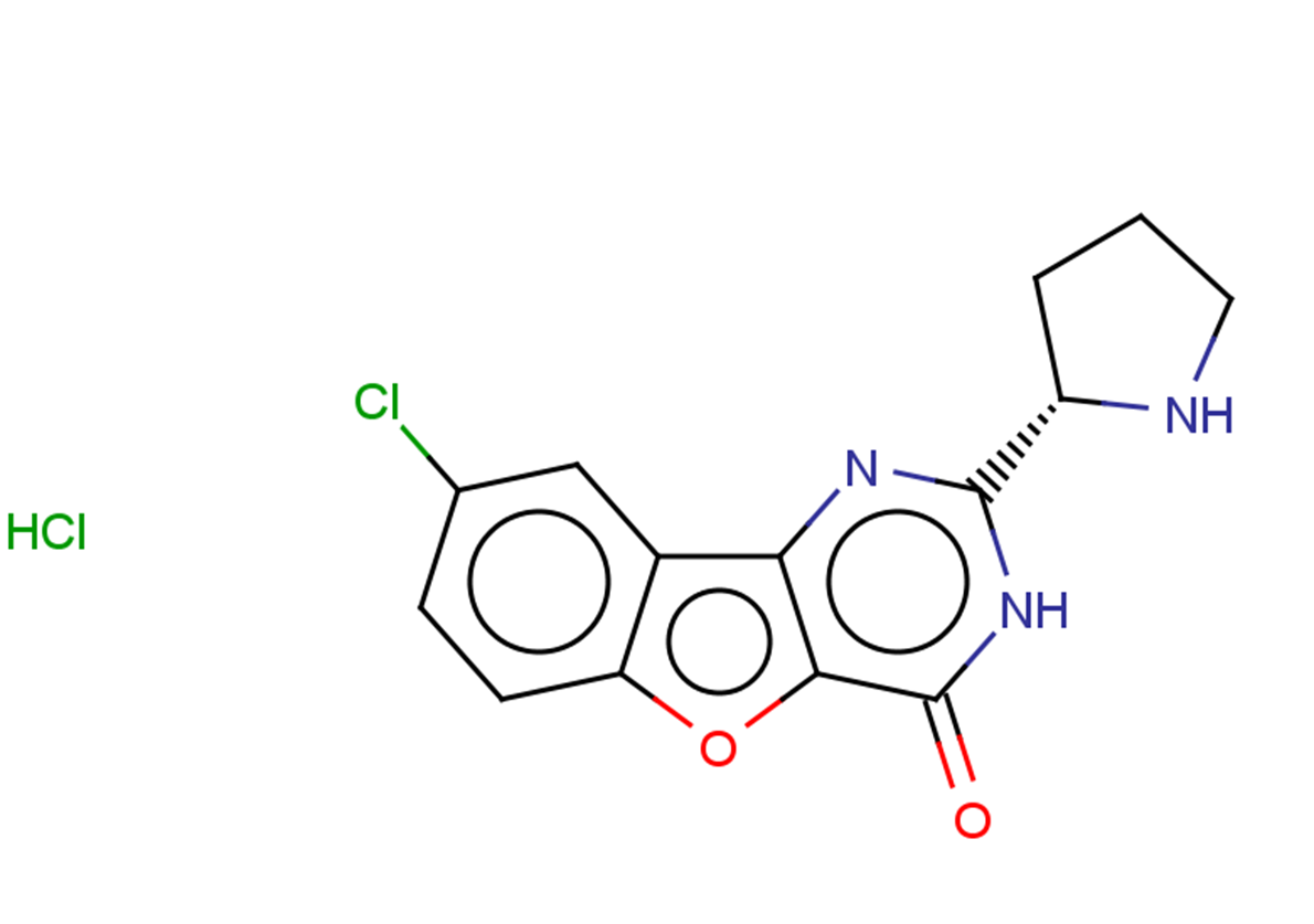 XL413 hydrochloride