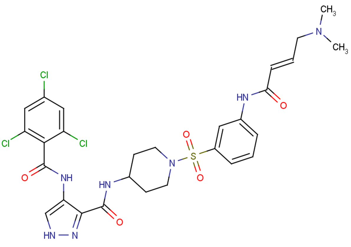 FMF-04-159-2