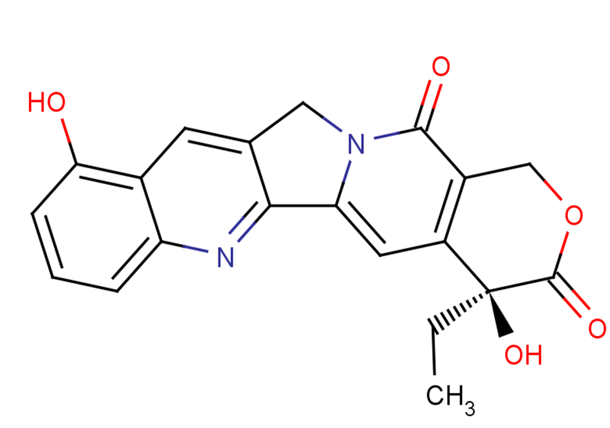 9-Hydroxycamptothecin