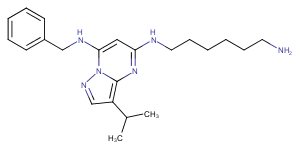 BS-181