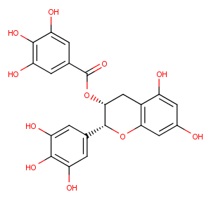 (-)-Epigallocatechin Gallate