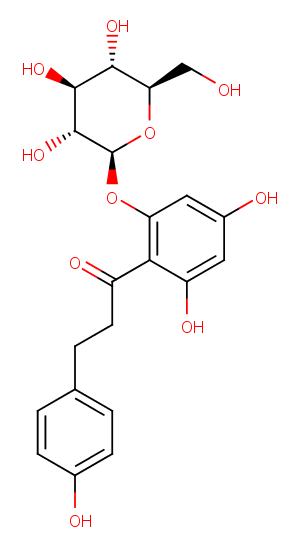 Phlorizin