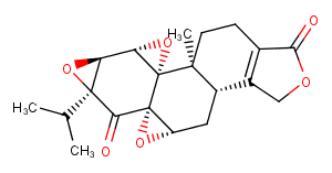 Triptonide Chemical Structure