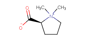 Stachydrine Chemical Structure