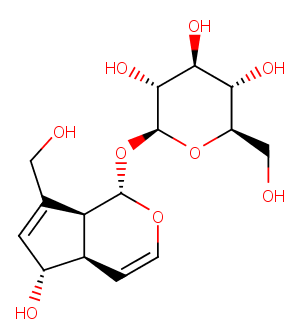 Aucubin