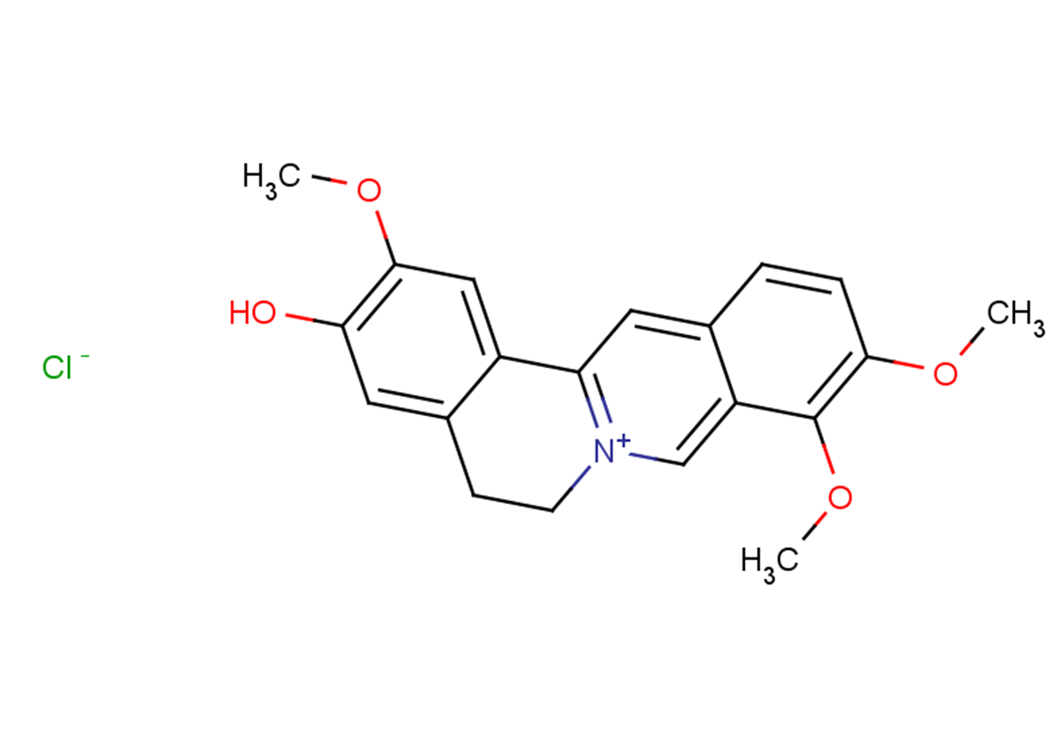 Jatrorrhizine chloride Chemical Structure
