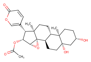 Cinobufotalin Chemical Structure