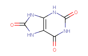 Uric Acid