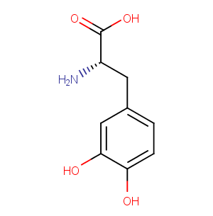 L-DOPA