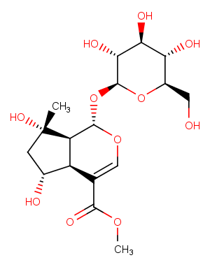 Shanzhiside methyl ester