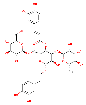 Echinacoside