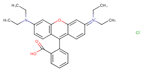 Rhodamine B