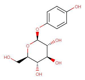 Arbutin