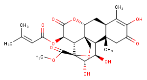 Brusatol