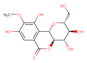 Bergenin