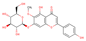 HOMOPLANTAGININ