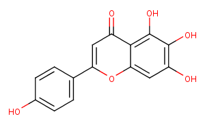 Scutellarein