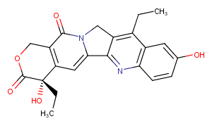 SN-38