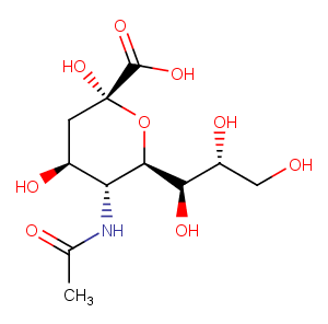 N-Acetylneuraminic acid