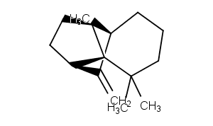 (+)-Longifolene Chemical Structure