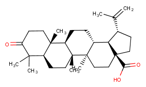 Betulonic acid Chemical Structure