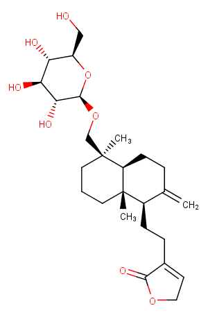 Neoandrographolide