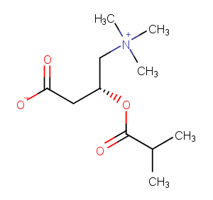 Isobutyryl-L-carnitine Chemical Structure