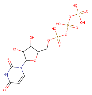 Uridine triphosphate